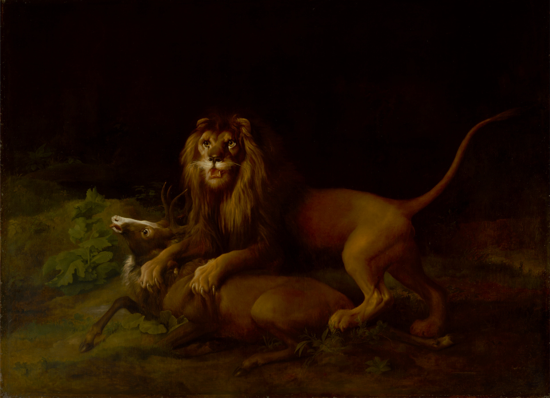 A Lion Attacking a Stag, George Stubbs, 1765-66
