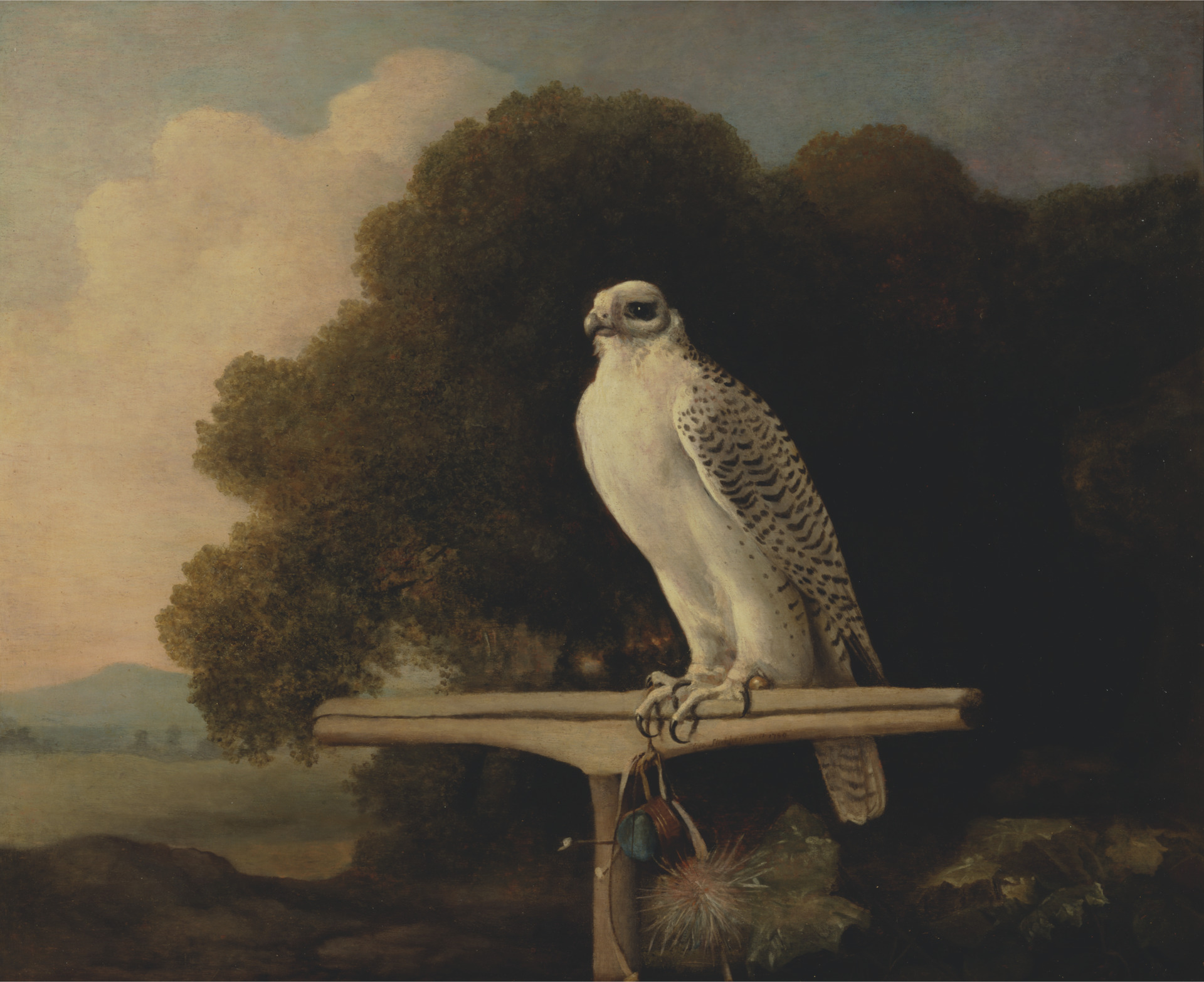 George Stubbs. Greenland Falcon. 1780. 