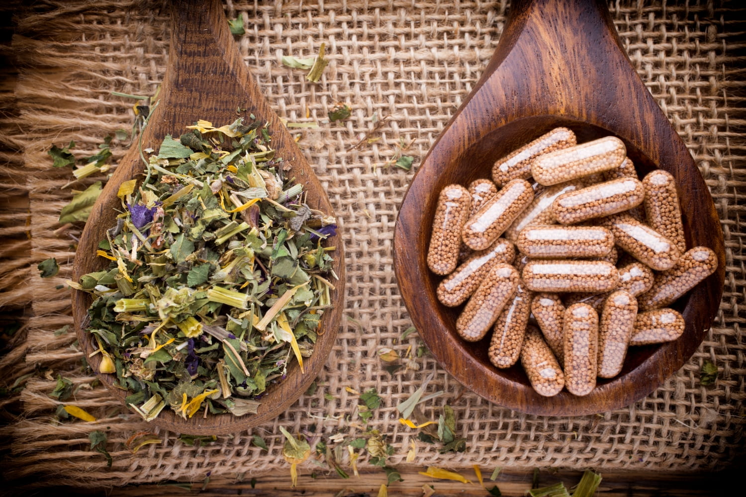 Natural Herbs: How Do You Benefit From Using Them?