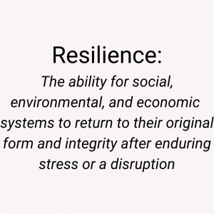 Definition of resilience