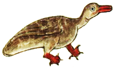 Logo_duck