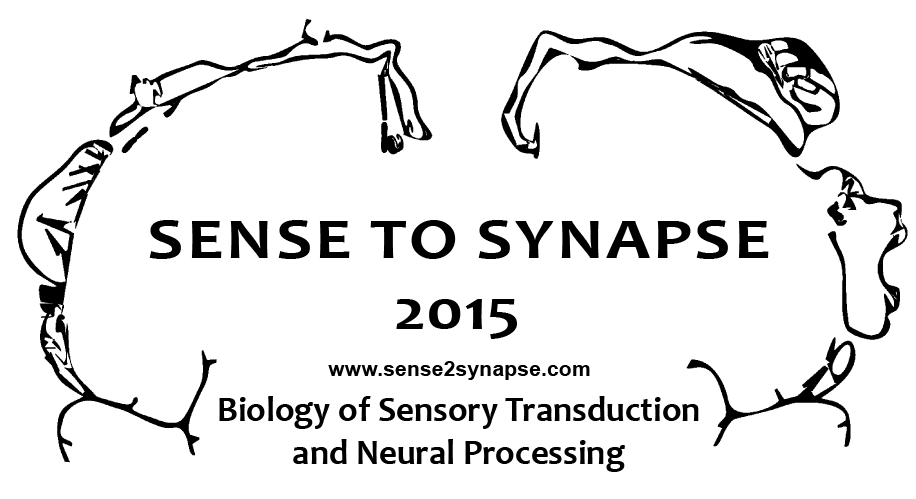 2015-04-11 Sense to Synapse logo