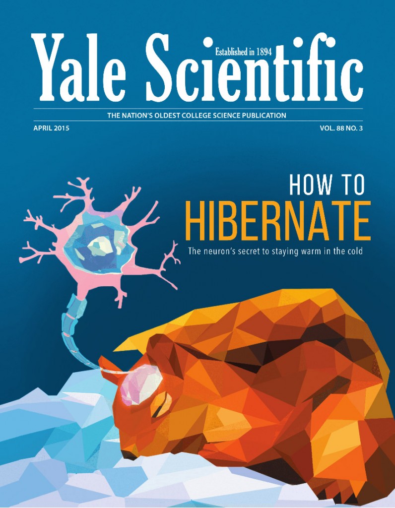 2015-05-16 Yale Scientific Cover