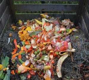 A pile of compost with fresh food waste on top. You can visibly see banana peels, orange peels, and other food remnants.